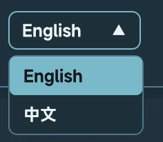 Soundury 翻译元数据语言选择