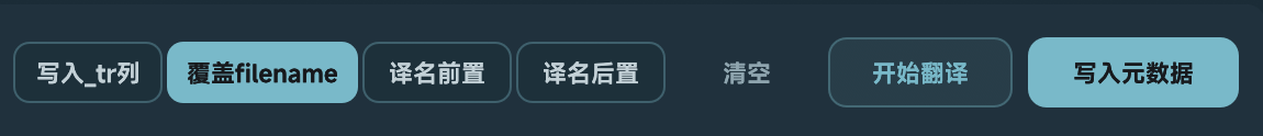 Soundury 元数据写入选项
