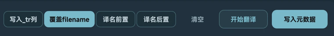 Soundury 元数据写入选项