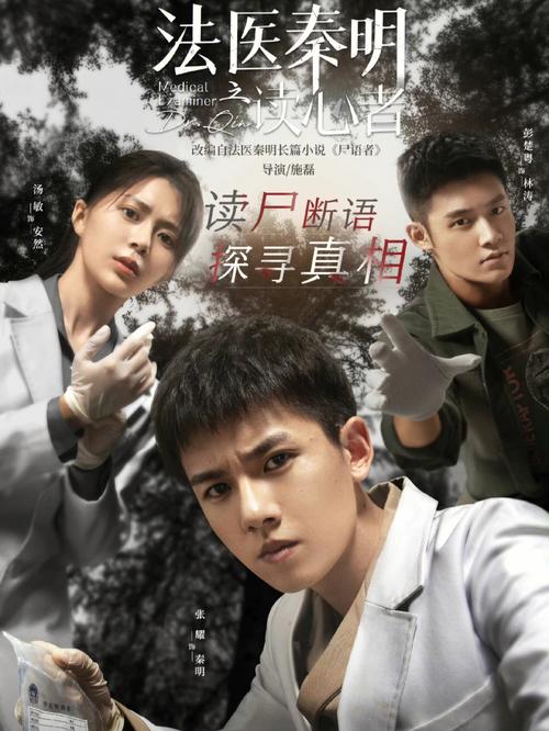 网剧作品海报